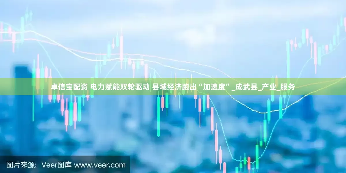 卓信宝配资 电力赋能双轮驱动 县域经济跑出“加速度”_成武县_产业_服务