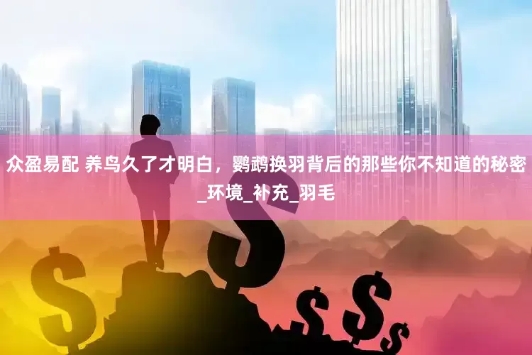 众盈易配 养鸟久了才明白，鹦鹉换羽背后的那些你不知道的秘密_环境_补充_羽毛