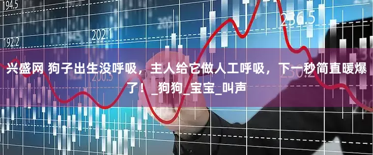 兴盛网 狗子出生没呼吸，主人给它做人工呼吸，下一秒简直暖爆了！_狗狗_宝宝_叫声