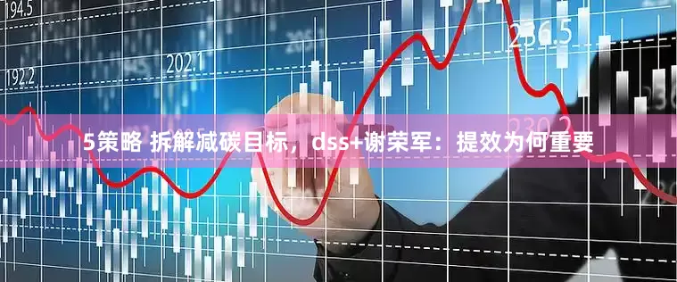 5策略 拆解减碳目标，dss+谢荣军：提效为何重要