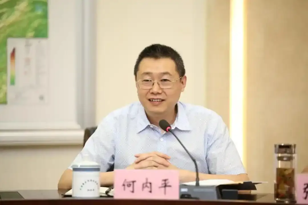 兴启网 重庆市委巡视不久，何内平官宣被查