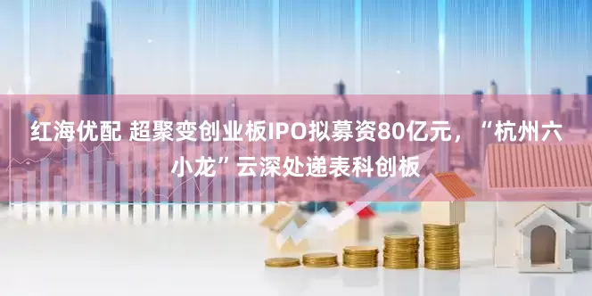 红海优配 超聚变创业板IPO拟募资80亿元，“杭州六小龙”云深处递表科创板