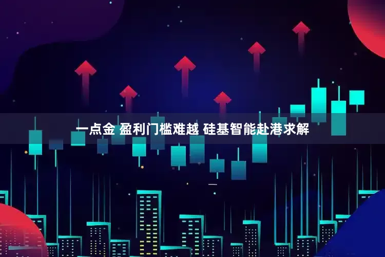 一点金 盈利门槛难越 硅基智能赴港求解